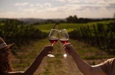 Sucesso na primeira edição 'Circuito do Vinho' tem roteiro reeditado e visita oito vinícolas pela Região Uva e Vinho