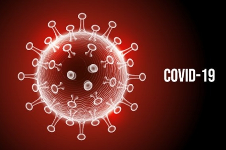 Cientistas holandeses descobrem anticorpo capaz de bloquear ação da Covid-19