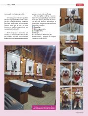 Revista Sucesso – Edição 176 | Página 33