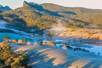 Serra Catarinense: região encanta pelos bons vinhos e belas paisagens