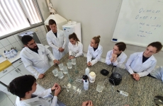 Mitos e verdades sobre álcool gel